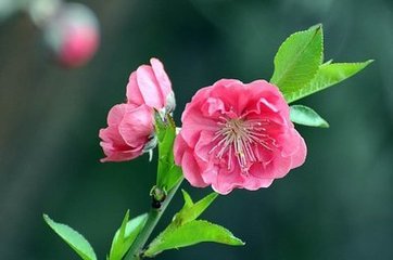 西安交通大學(xué)威海校友會(huì)到訪中都，參觀交流